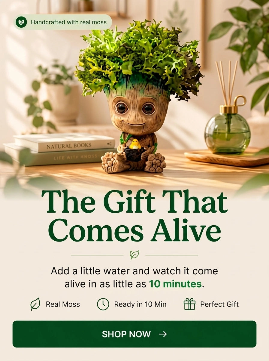  Interactive moss figure that turns green after misting with water