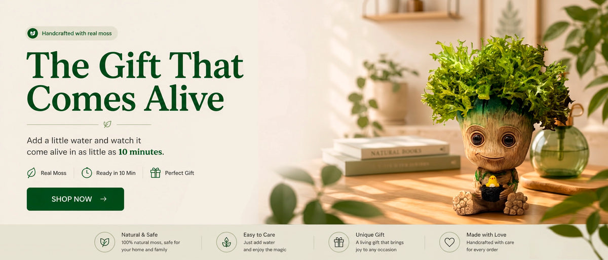  Interactive moss figure that turns green after misting with water