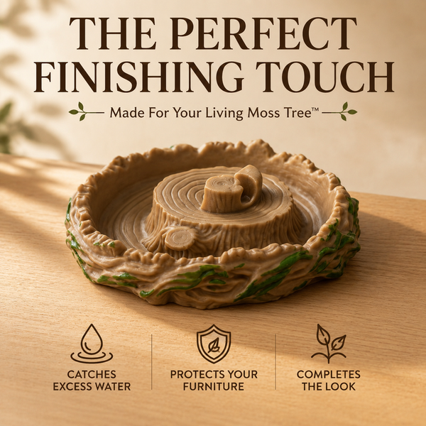 The Living Moss Tree™ Water Tray
